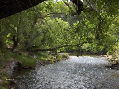 Goulburn River Frontage Property For Sale Goulburn River Frontage Property For Sale